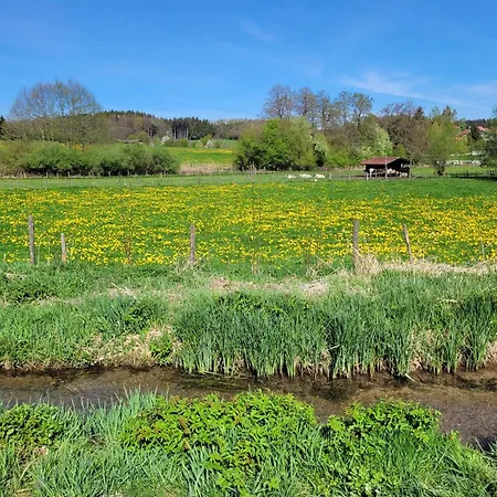 Idyllisches Mit Ausblick * Бад-Верисхофен